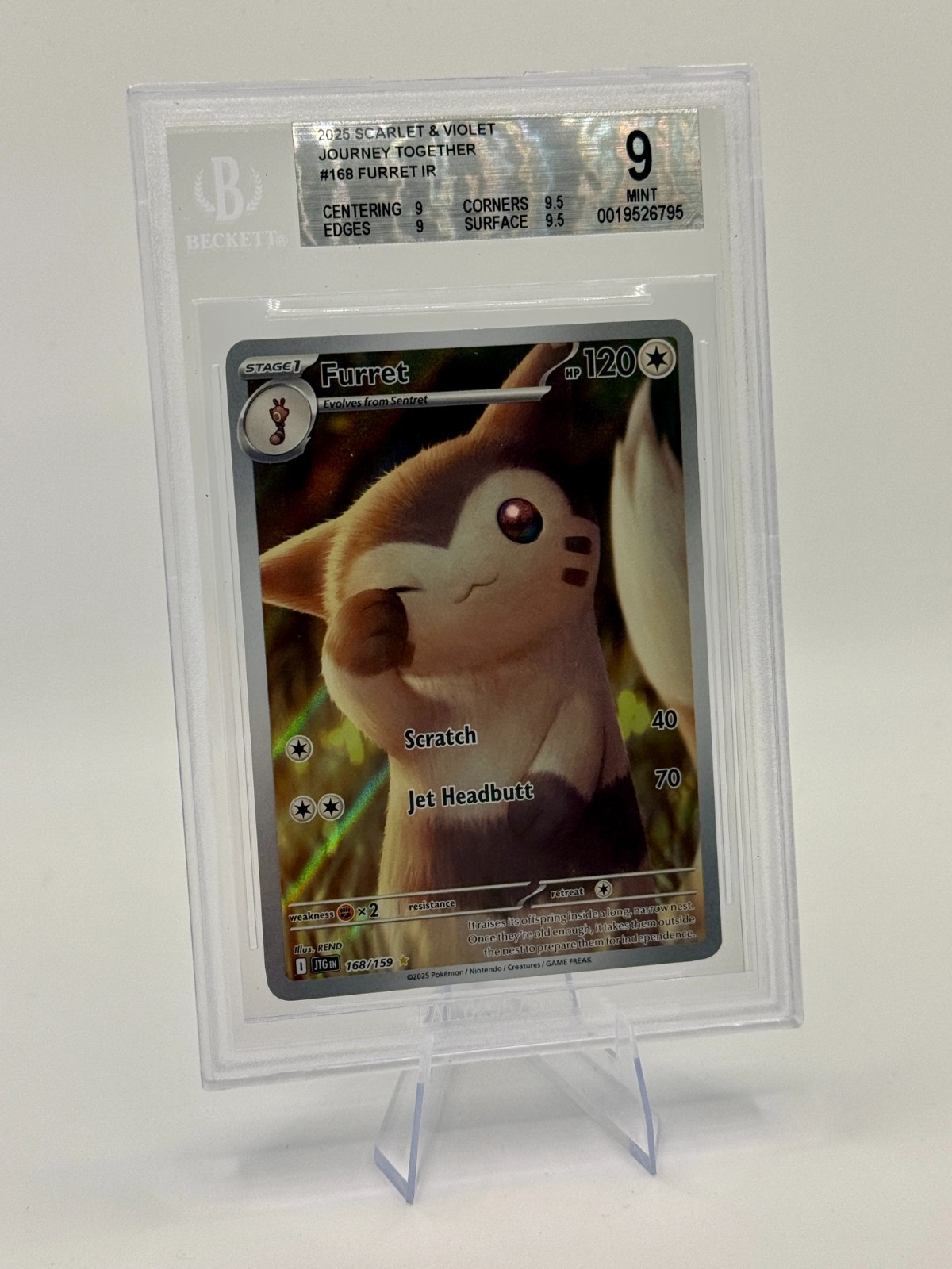 BGS 9 Furret #168 Illustration Rare Pokemon Journey Together