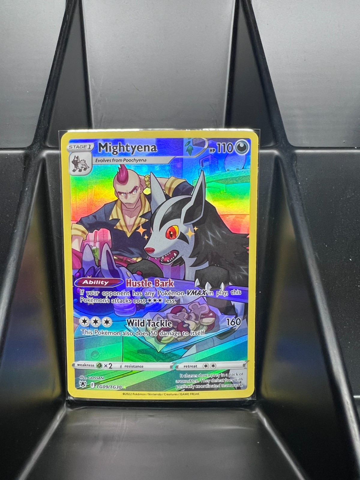 Mightyena TG09/TG30 Holo Astral Radiance Trainer Gallery Pokemon Card
