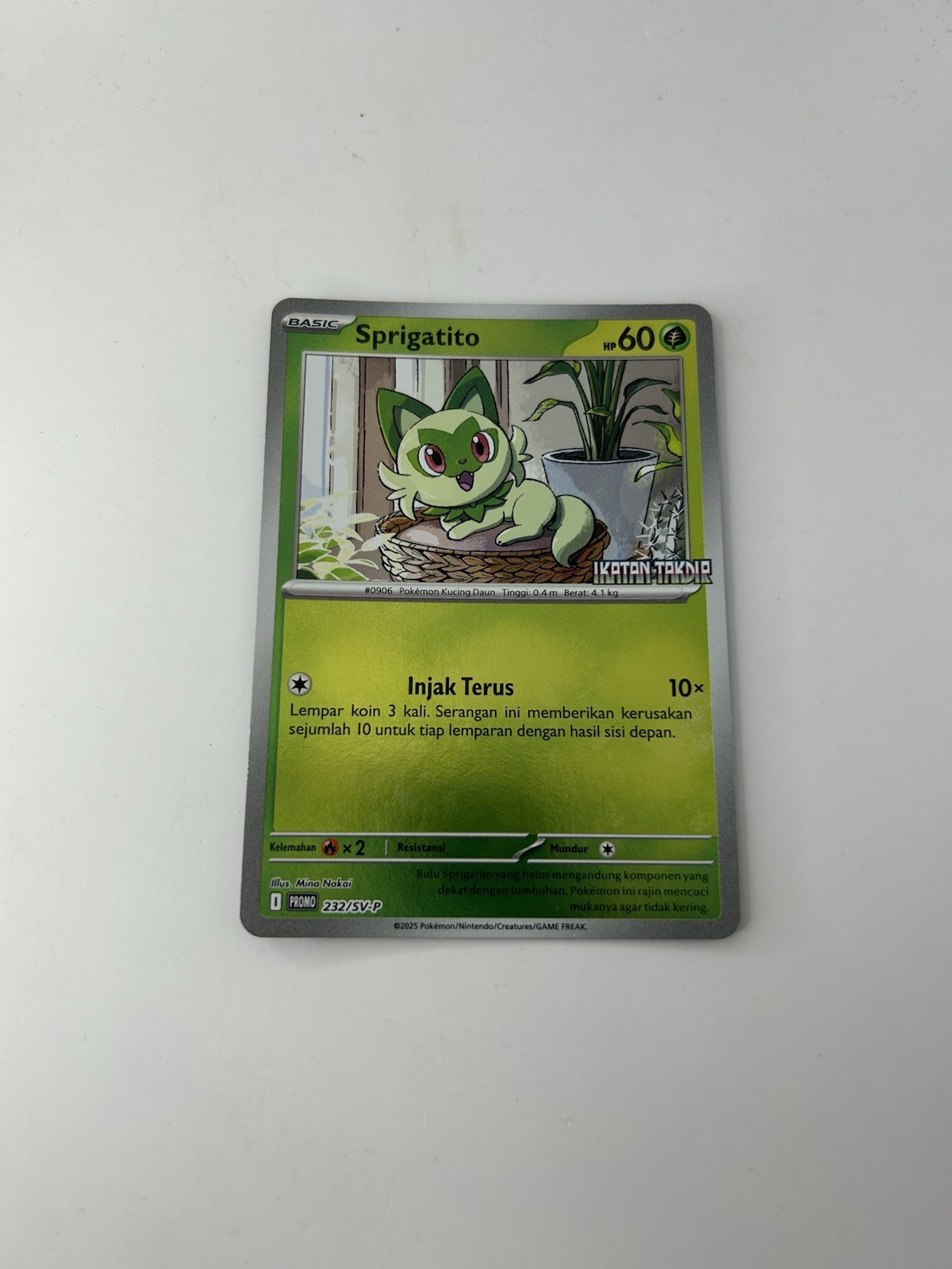 NM – Pokemon Indonesian Ikatan Takdir Promo Card Sprigatito 232/SV-P