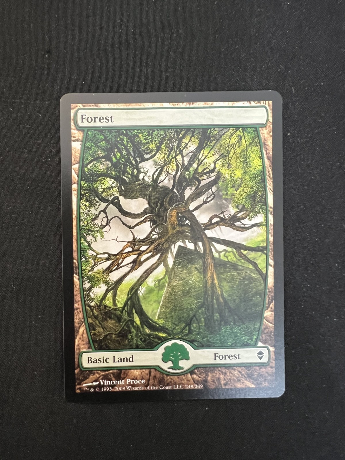 MTG Forest ZEN 249 MP Basic Land Vincent Proce Zendikar
